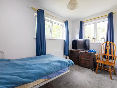 Picture 14